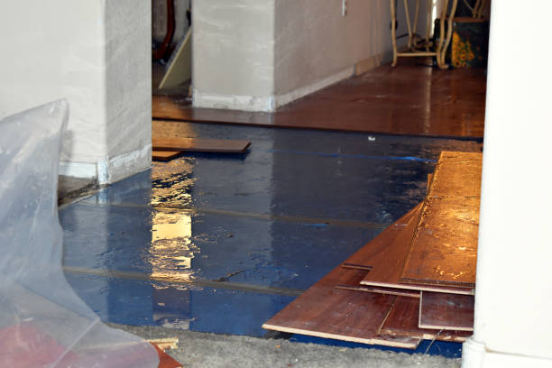 Professional Water Extraction technician working in Polk, OH